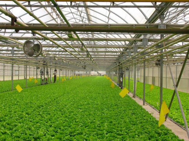 水溶肥选择技巧，选对不吃亏